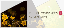 �J�[�h�^�C�vUSB�������ꗗ��